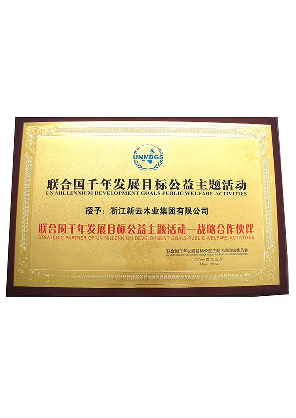 聯(lián)合國(guó)千年發(fā)展目標(biāo)公益主題活動(dòng)