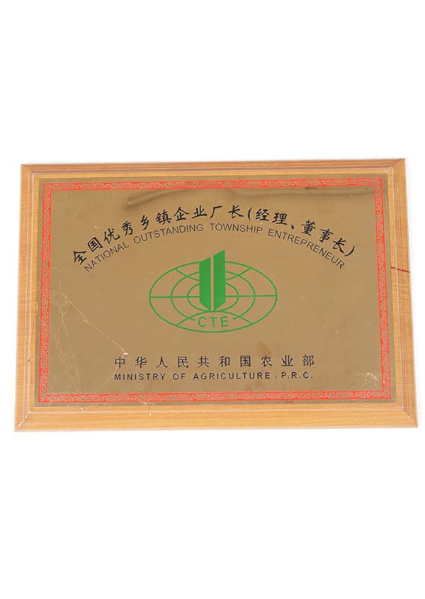 全國(guó)優(yōu)秀鄉(xiāng)鎮(zhèn)企業(yè)廠長(zhǎng)